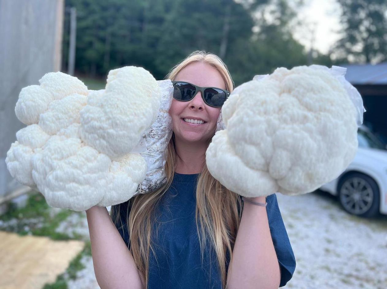 A farmer holding two large lion's mane mushrooms outdoors
