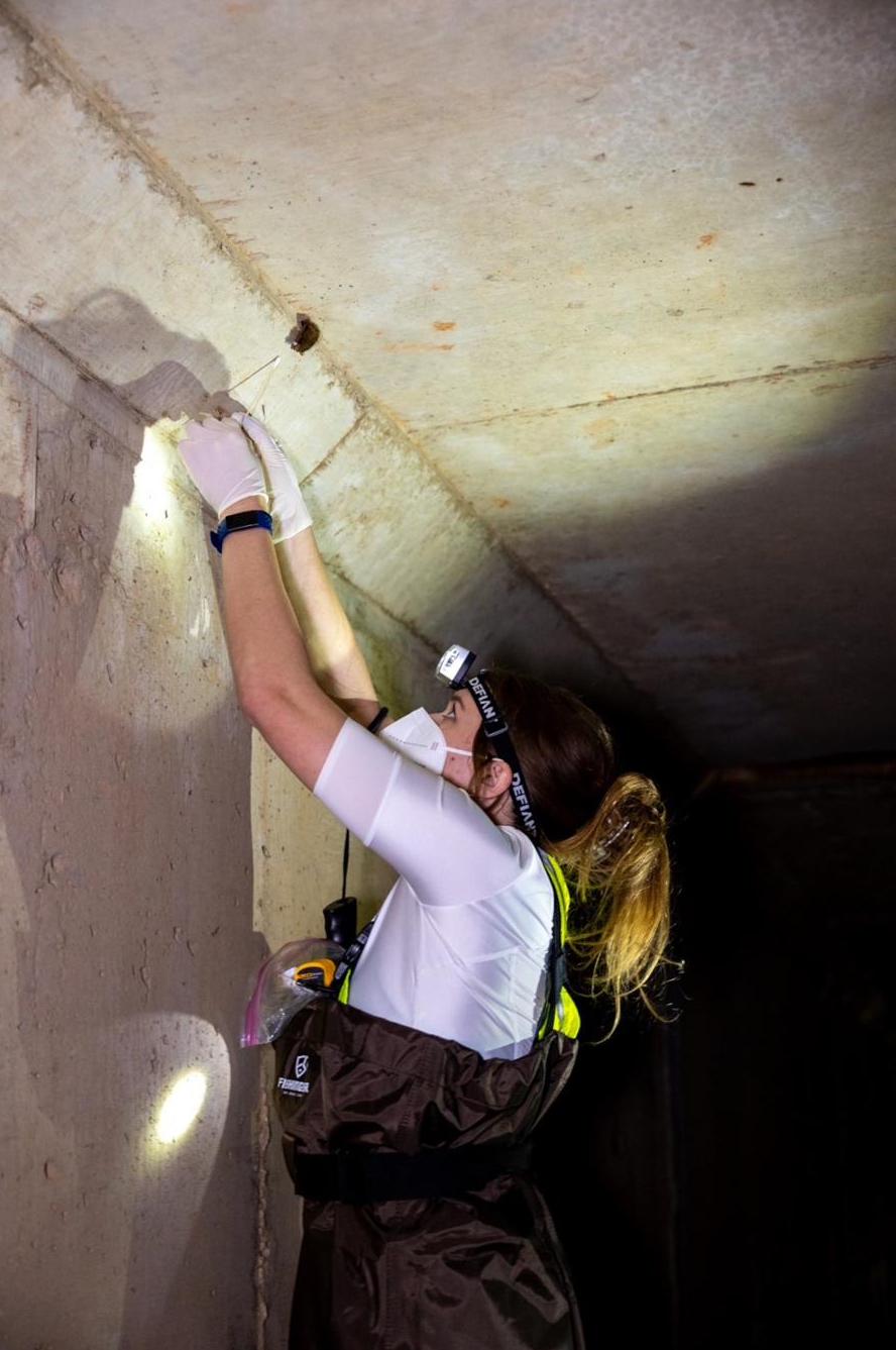 A researcher in coveralls and a headlamp reaching up to sample the ceiling of a concrete culvert