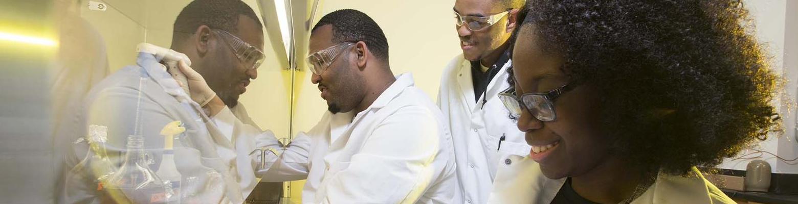 Students in lab coats and safety glasses working together at a biosafety cabinet in the BioInnovation Laboratory